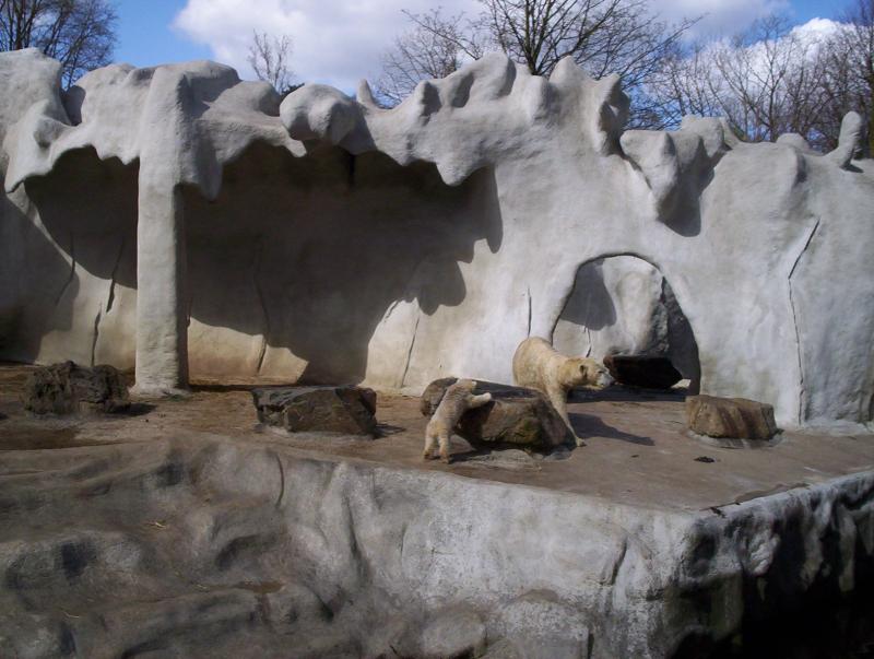100_3874.JPG.jpg