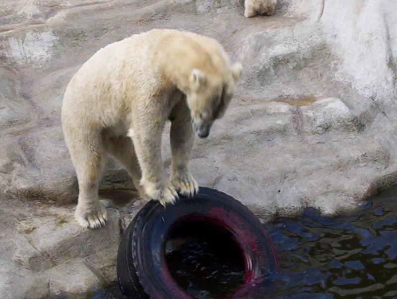 100_3955.JPG.jpg