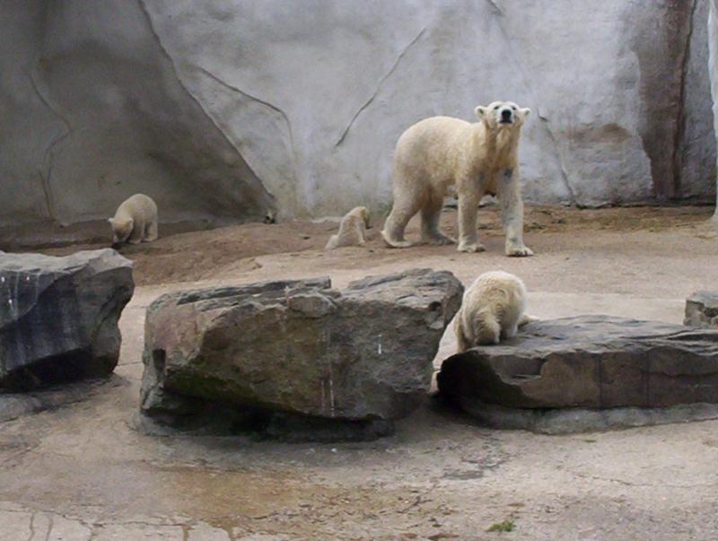 100_4008.JPG.jpg