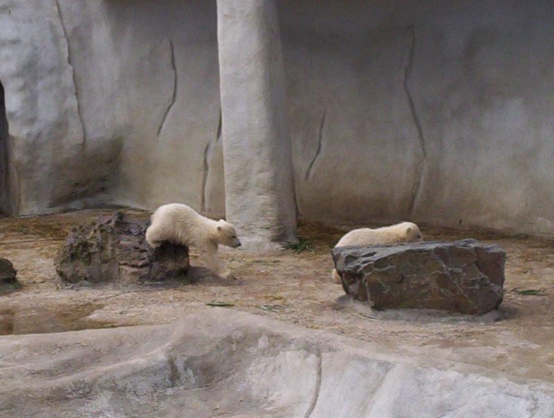 100_4028.JPG.jpg