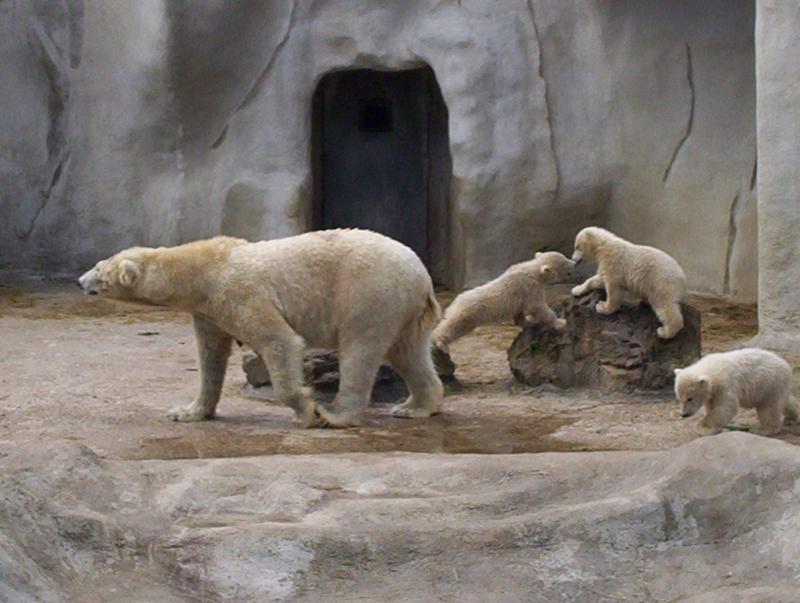 100_4030.JPG.jpg