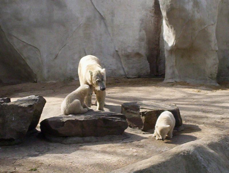 100_4040.JPG.jpg