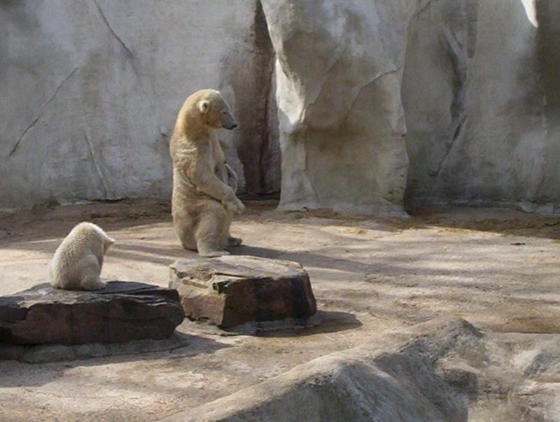 100_4046.JPG.jpg