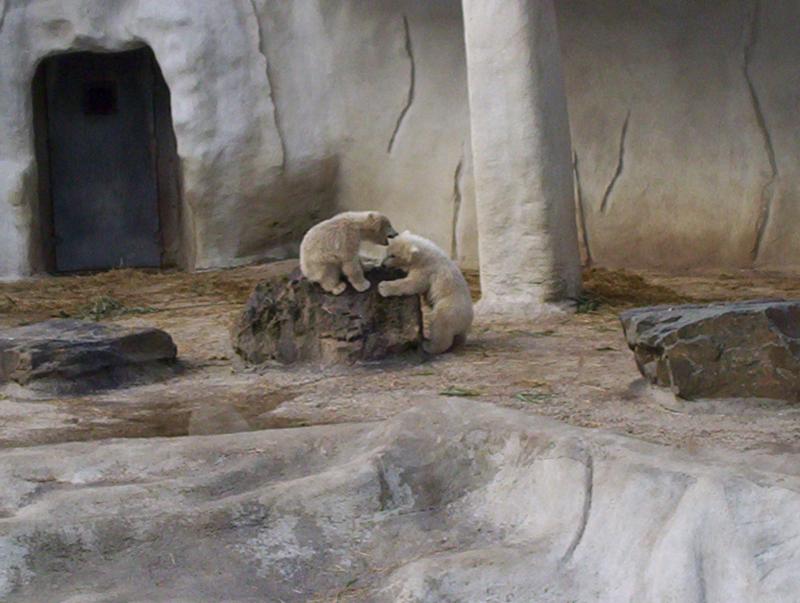 100_4053.JPG.jpg