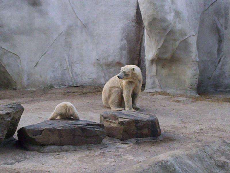 100_4057.JPG.jpg