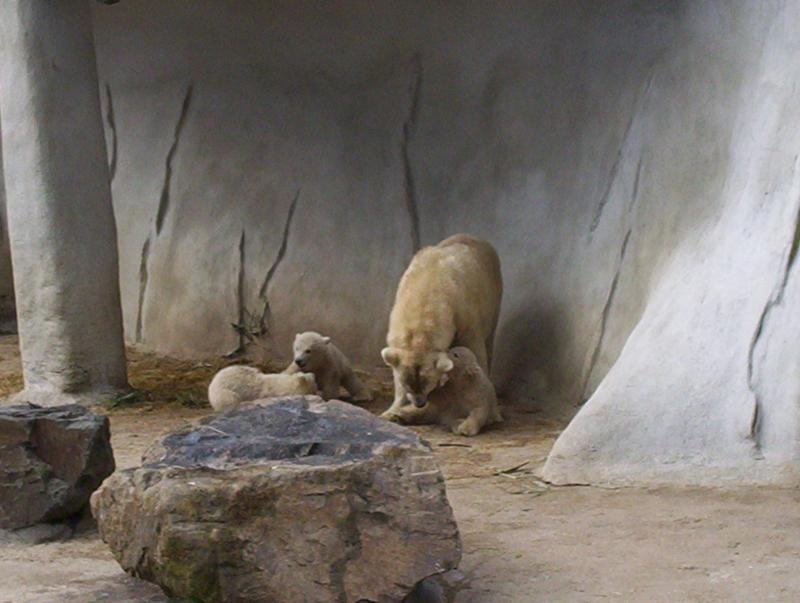 100_4110.JPG.jpg