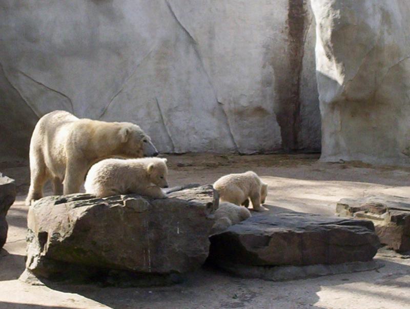100_4177.JPG.jpg