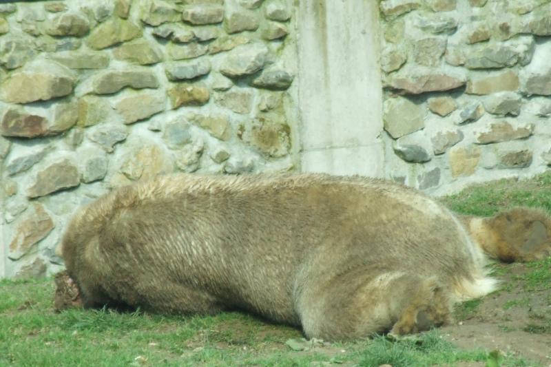 dscf1728.jpg.jpg